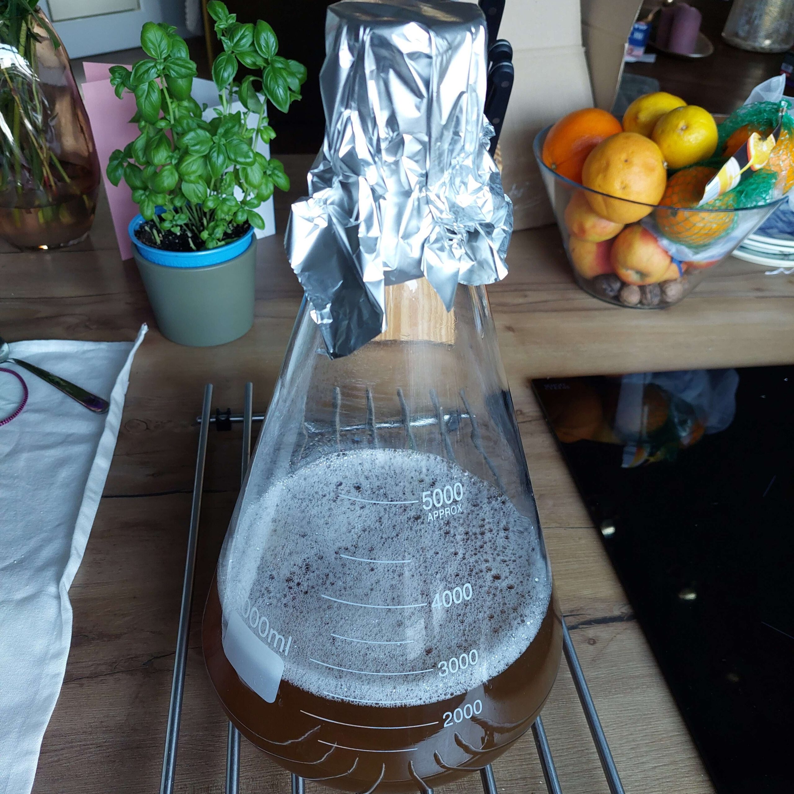 giststarter